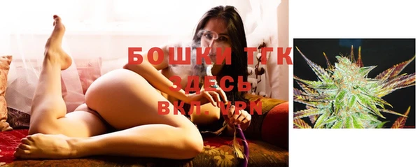 шишки Абинск