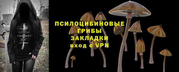 бутират Щигры