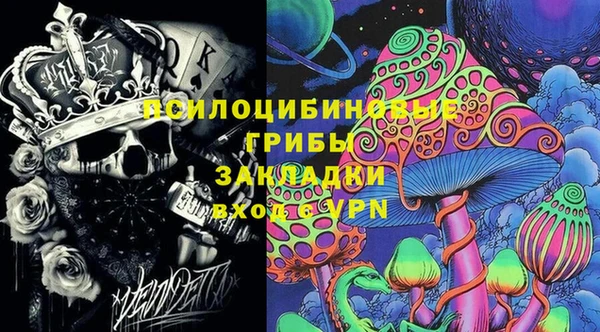 таблы Щучье