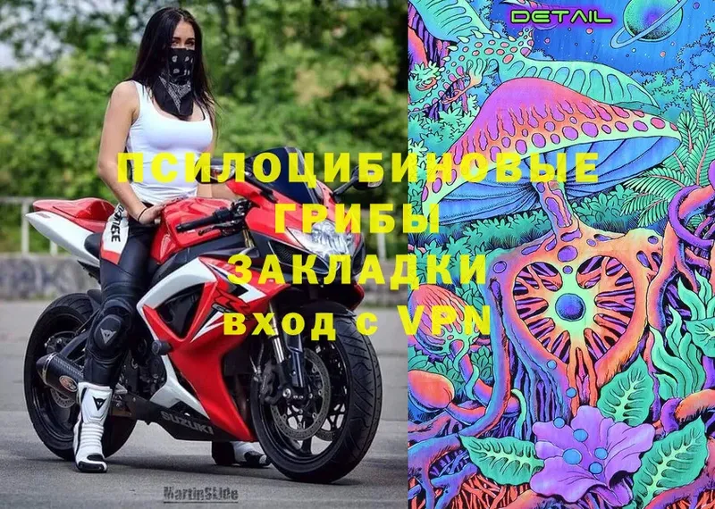 Галлюциногенные грибы ЛСД  Агрыз 